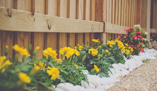 Rock landscaped fence line with bright yellow and pink flowers.